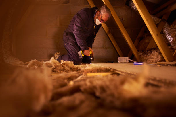 Best Eco-Friendly Insulation Solutions  in Rock Creek, MN